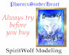 SpiritWOlf Modeling Inc.