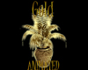 *GOLD* PLANT