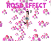 Rose effect