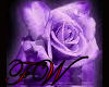 Purple Rose Dance