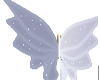 lavender wings
