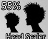 55% HEAD SCALER