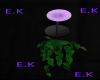 [E.K] Lavender L & PLANT
