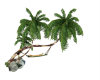 PLAM TREE WITH HAMOCK
