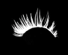 DF sexy lashes