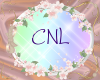 [CNL]DOC flower 15