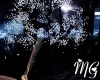 Tree White animated