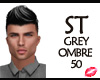 ST GREY SILVER OMBRE 50