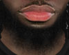 Asteri Beard #033