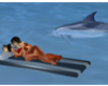 Dolphin Splash-Animated