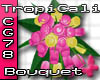 [CG78] TropiCali Bouquet