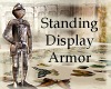 Standing Display Armor