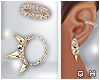 [Q]Earrings*Joy