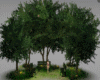 tree_garden