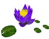 Animated Lily Pad Bed 2