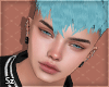 Sz l Ariton Teal