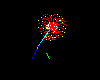 Tiny 4th Fireworks