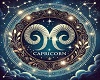 FM Zodiac Capricorn
