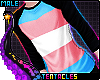 🌈 Trans Pride Shirt M