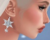 Frost Snowflake Earrings