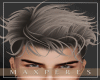 Hair Platinum