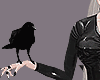 Spiked Goth / Crow Avi