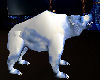 Animated SnowBlue Bear