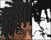 Freeforms 5