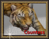 [C]TIGER PET WITH SOUNDS
