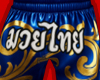 Thai boxing