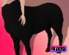 Emmy Centaur Black