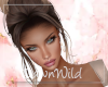 Cassia Ombre