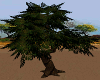 / SAFARI TREE 3.