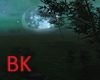 BK>Deep Woods