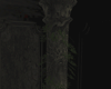 A| Pillar plants