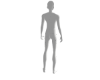 Mole Full Body RL