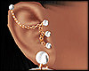 (USA) North Earrings