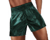 Green Swim Shorts
