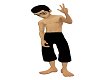 Avatar SDE