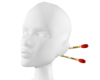 红玉兰