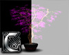 C - Plant v2 purple