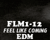 EDM - FEEL LIKE COMING