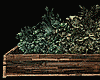Wooden Garden Bed