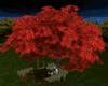 Maple animated tree