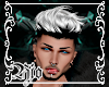 Kale - Platinum