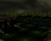 {) Nights Garden