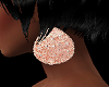 FG~ Kimmy Big Earrings
