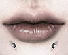 SNAKE BITES