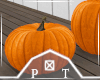 Large Halloween Pumpkins