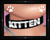 Kitten Collar